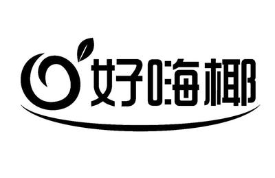 海南省汇发椰食品科技股份