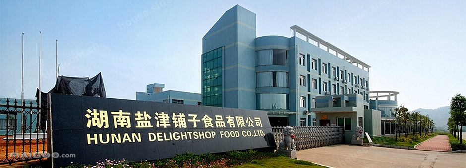 盐津铺子食品股份企业介绍
