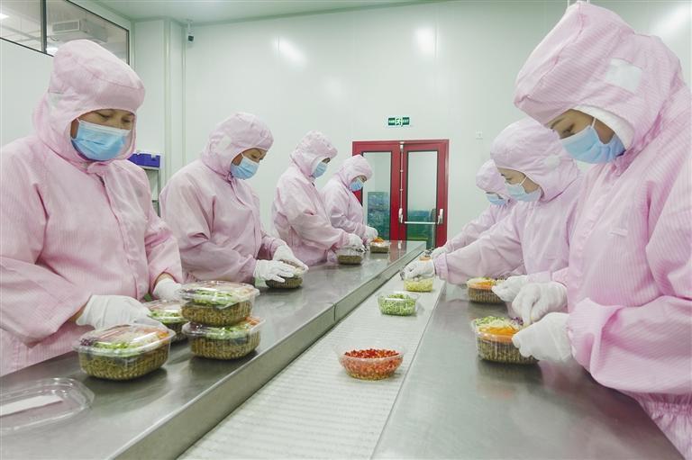 梁平:解码预制菜产业 触摸绿色发展脉络