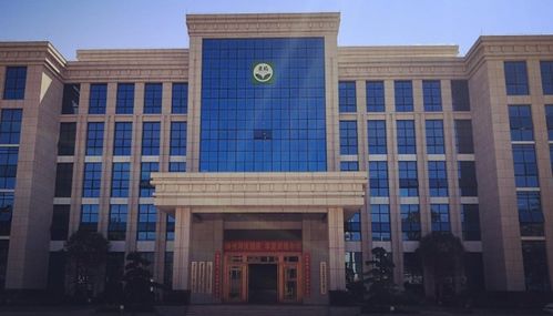 001201东瑞股份上市时间,东瑞上市时间是什么时候以及首日上涨规则
