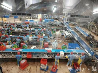 新理念、新模式、新产业--嘉鱼县水产养殖转型升级创新模式