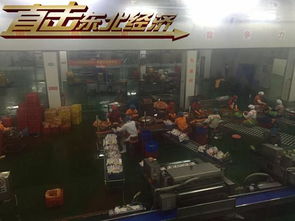 直击东北经济 吉林延边多举措助力绿色崛起