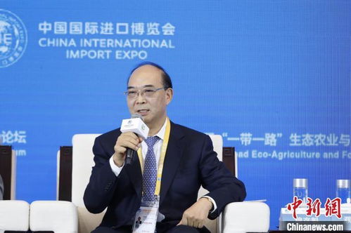 穆彦魁 进博会是 中国搭台 世界共享 的窗口