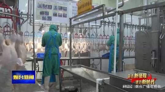 逆势而上 烟台企业稳步挺进海外市场
