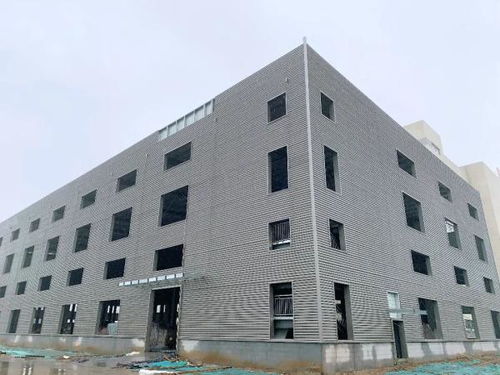 以河为媒 天津推进 十项行动 创造高品质生活