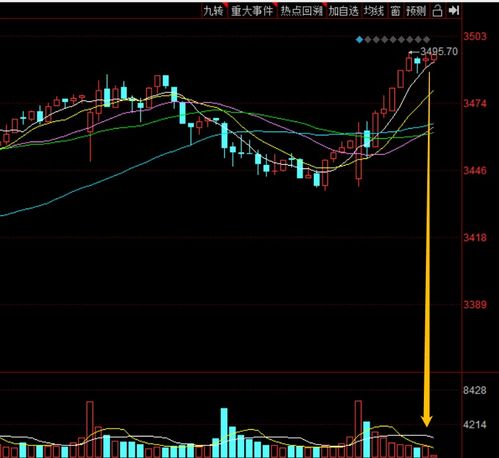 探寻同花顺圈子的炒股高手 聚焦食品股份的投资机遇