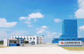 广东中汇食品股份 引领食品行业创新与发展的先锋