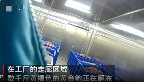 触目惊心！大连海产品加工厂曝光2大食品黑科技，消费者需警惕识别